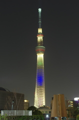 SKYTREE 2020 SP #1