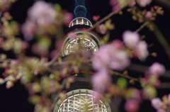 SKYTREE 2020 SP #9