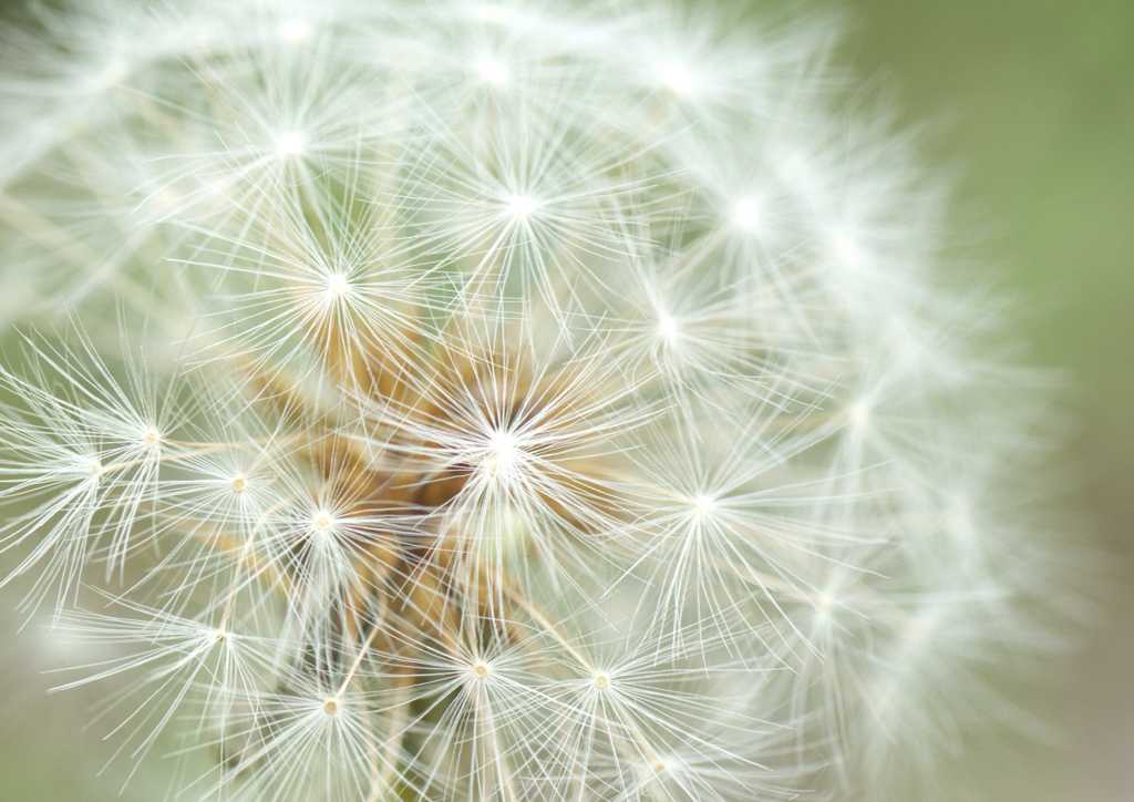 さぁ、今から飛ぶぞ！！！