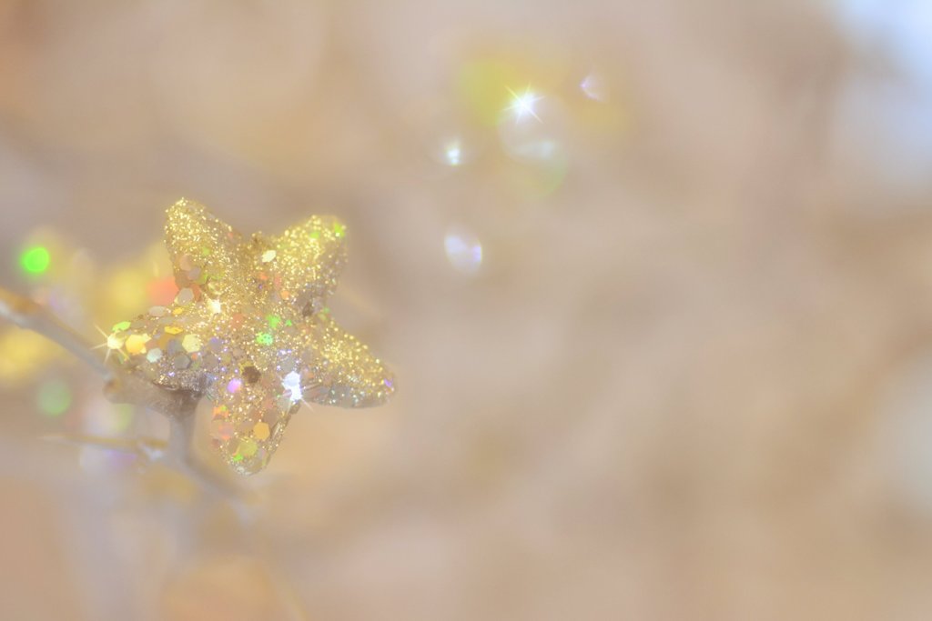 星に願いを☆彡