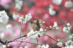 なかよし♡