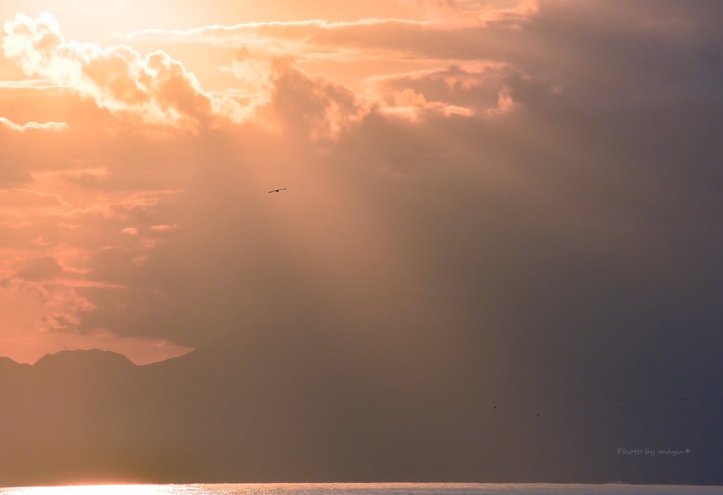 夕陽に向かって