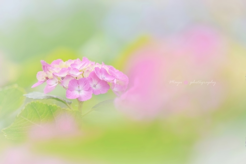 Sweet Feelings