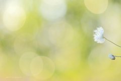 初冬のぬくもり