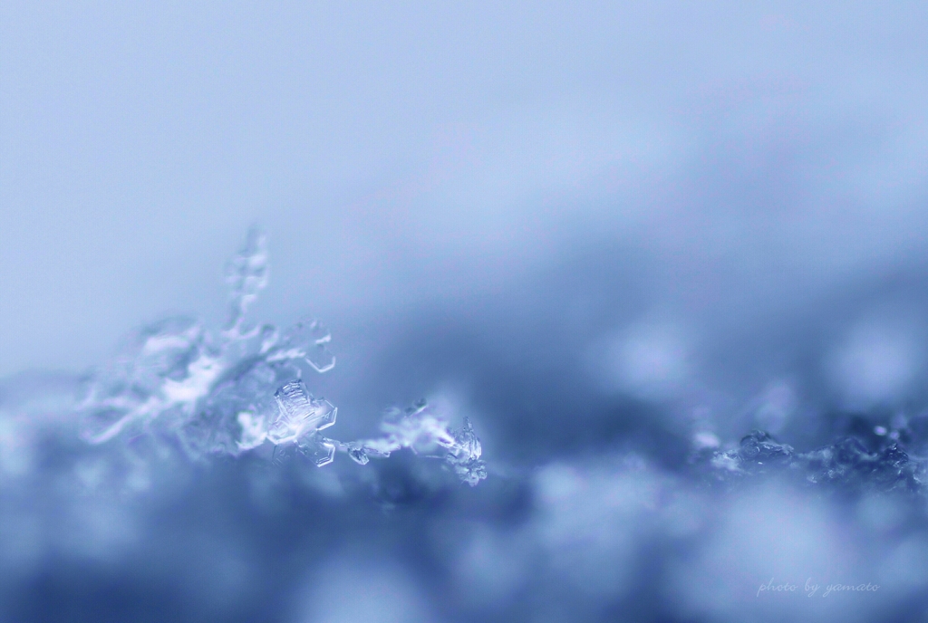 雪氷