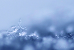 雪氷