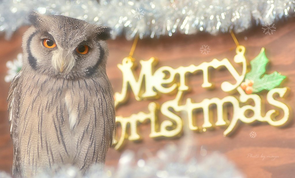 ☆Merry Christmas☆
