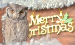 ☆Merry Christmas☆
