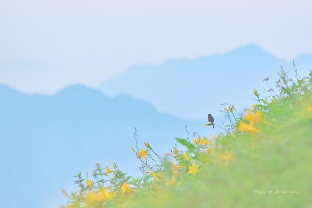 朝の歌