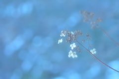 草津色