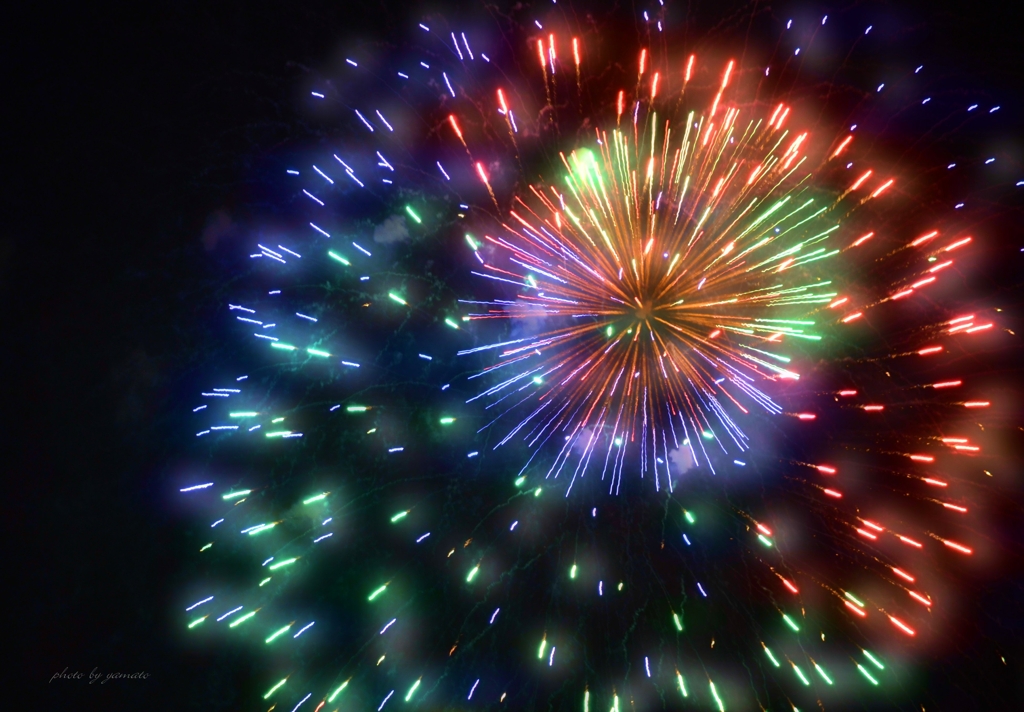 秋の夜空に咲く