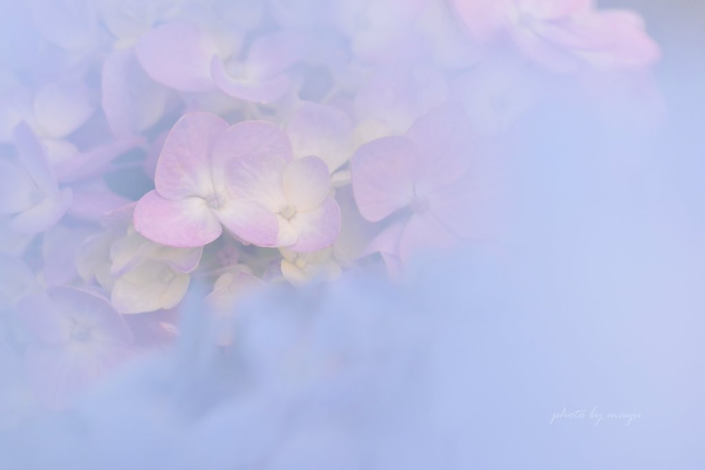 ひ・み・つ
