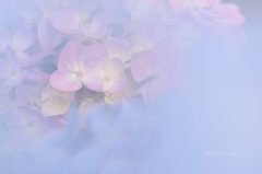 ひ・み・つ