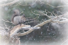 雪エゾリン♪