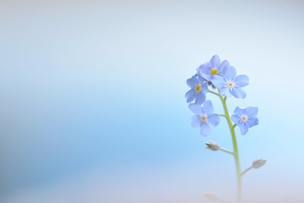 清楚