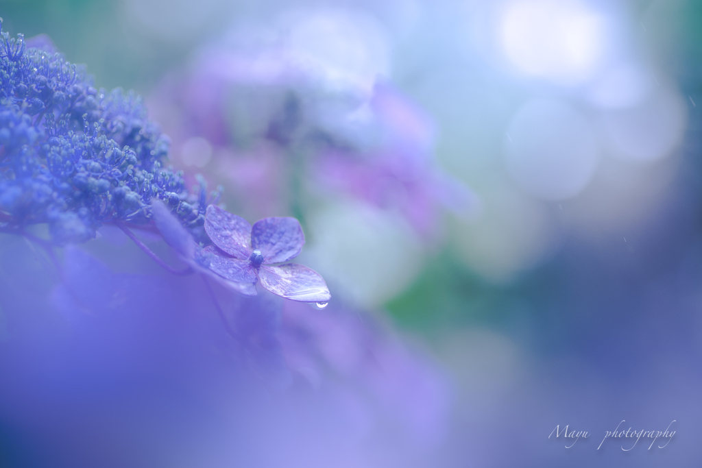 雨の日のひとりごと