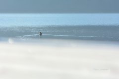 初冬の湖畔