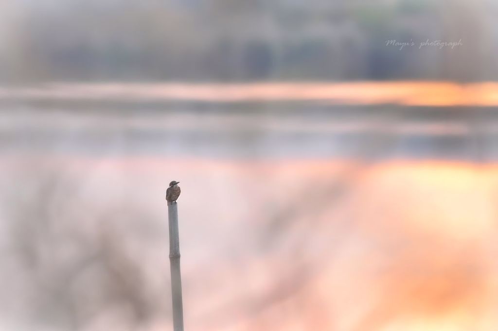 可愛い子