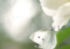 雨上がりの休憩