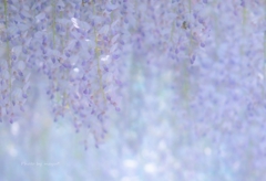 ~breeze~