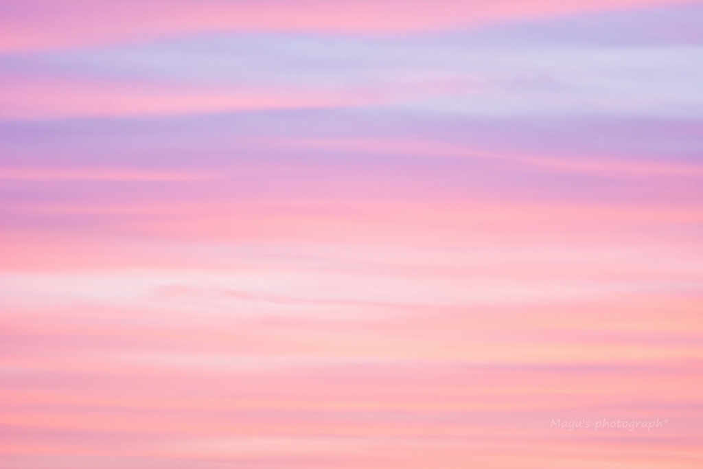 Rosy sky