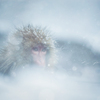 大雪のキオク