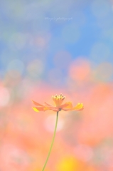 ひなたぼっこ♪