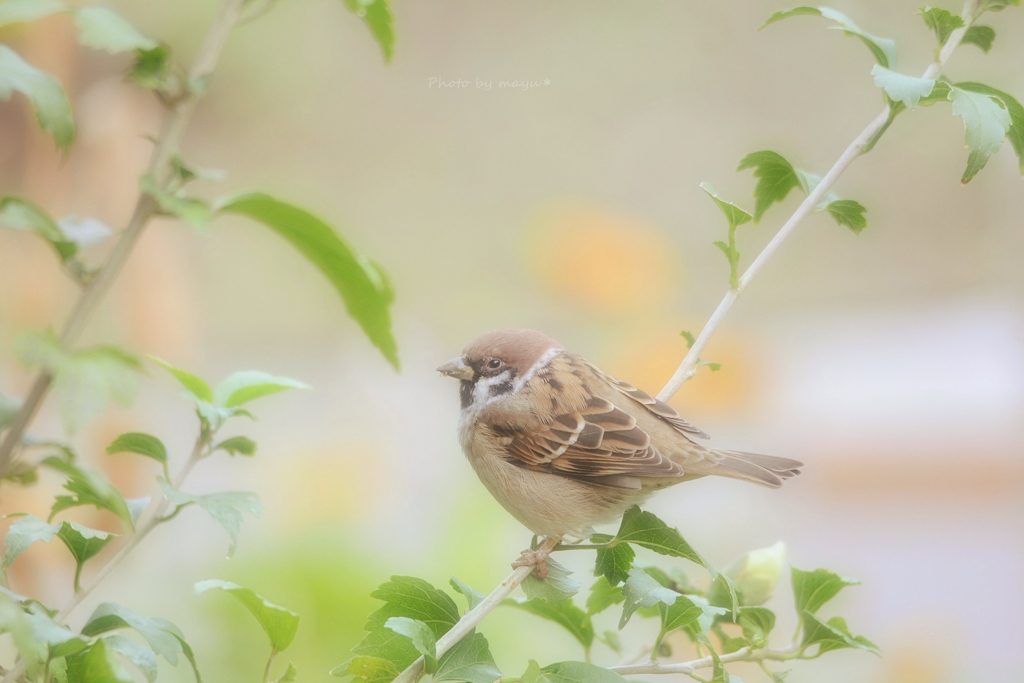 心穏やか♡