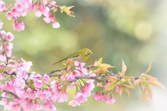 春ラララン♪