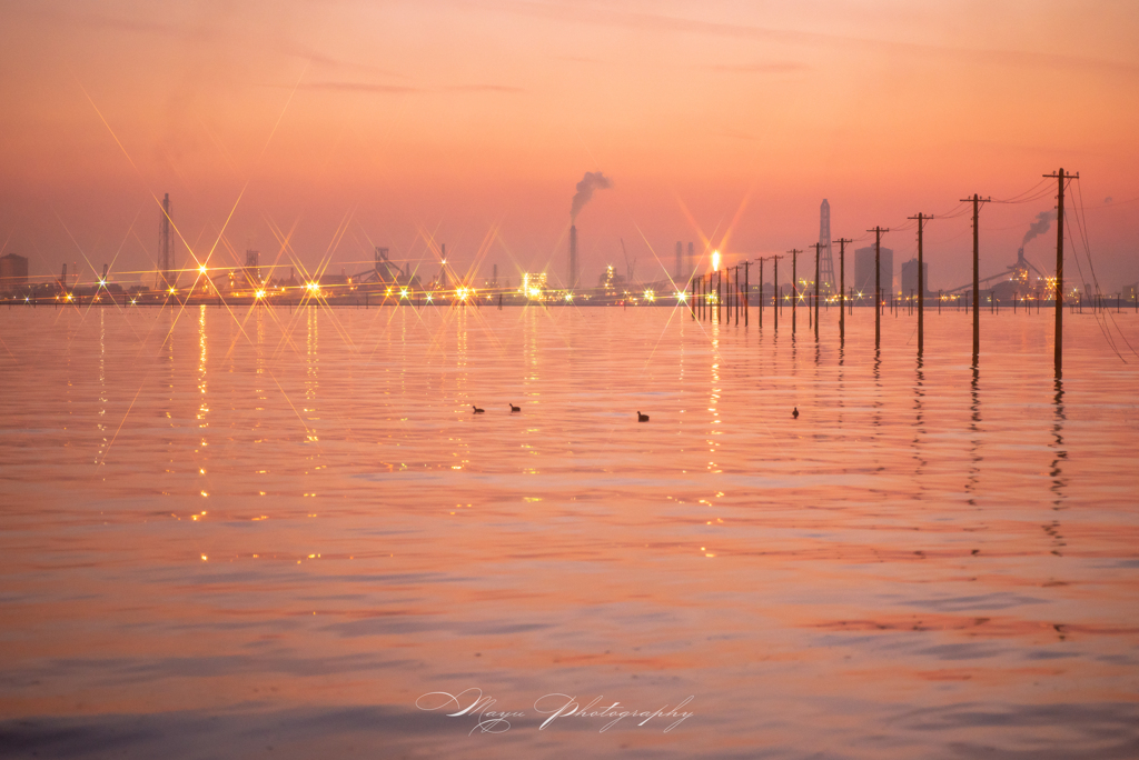 くつろぎ夕景