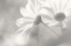 Requiem