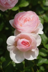 DSC06967