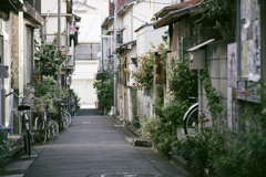 いい感じの路地