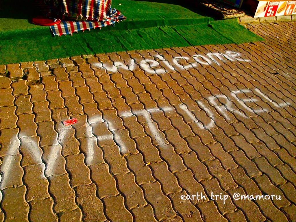 welcome