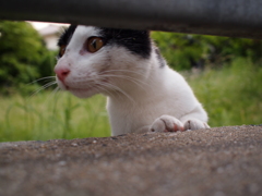 目線の先には