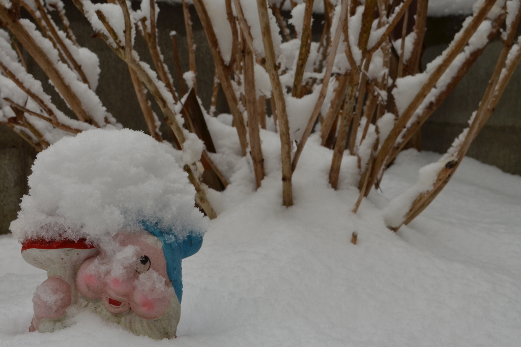 積雪