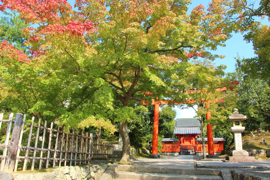 天龍寺 秋の気配