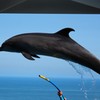 夏空と日本海をバックに