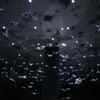 RAYS