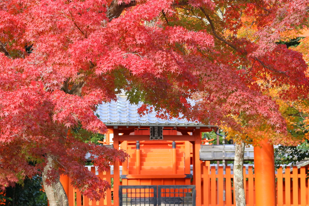 八幡宮