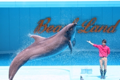 ☆Splash☆