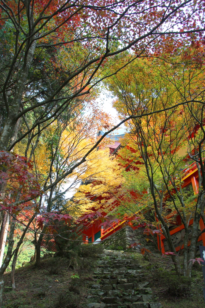 延暦寺