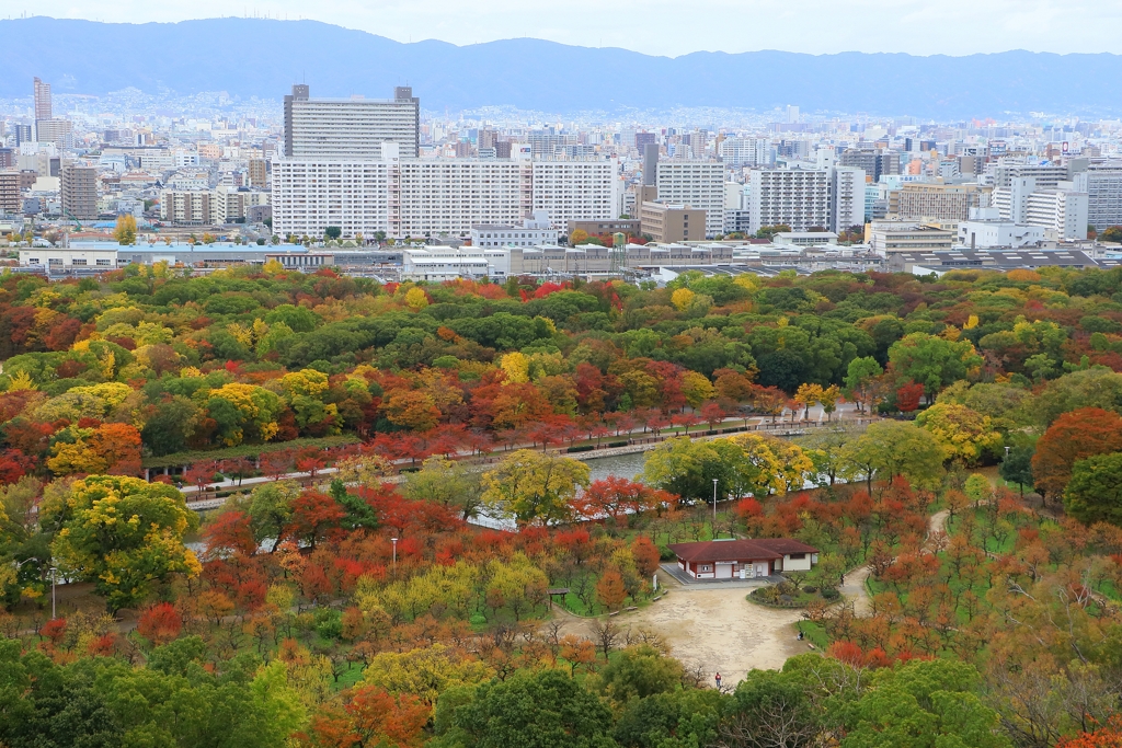 紅葉彩る
