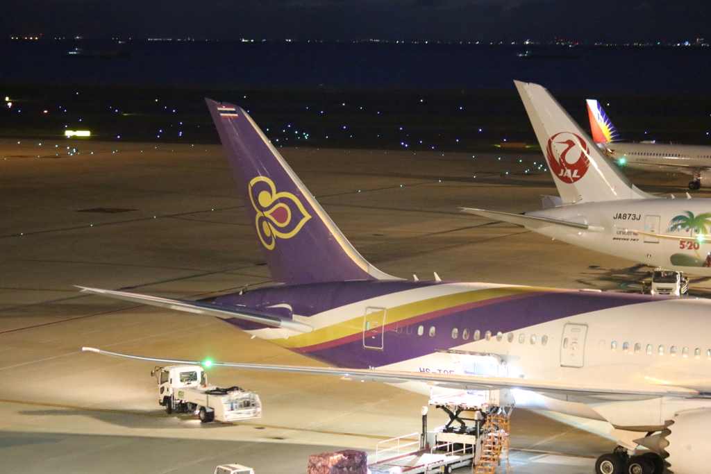 夜のセントレア