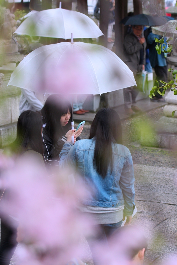 Spring rain