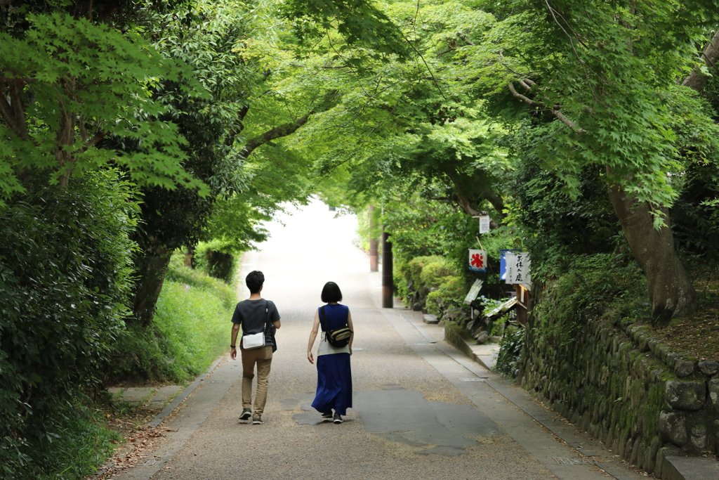 初夏のひかり