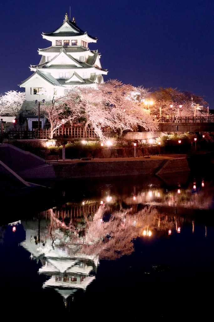 城と夜桜と