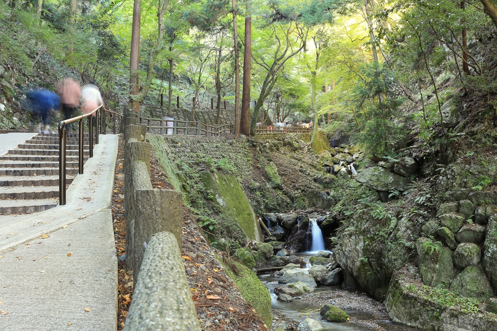 森の散歩道