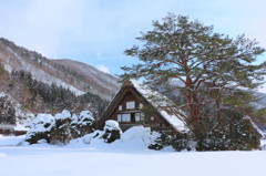 白川郷 和田家