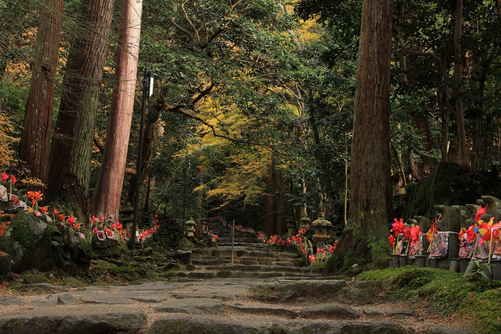 金剛輪寺 参道